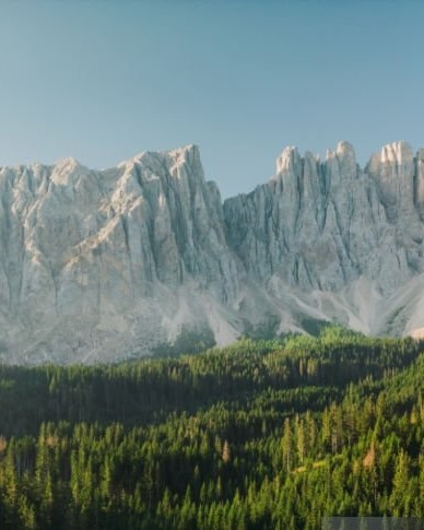 Paysage de montagne et forêt