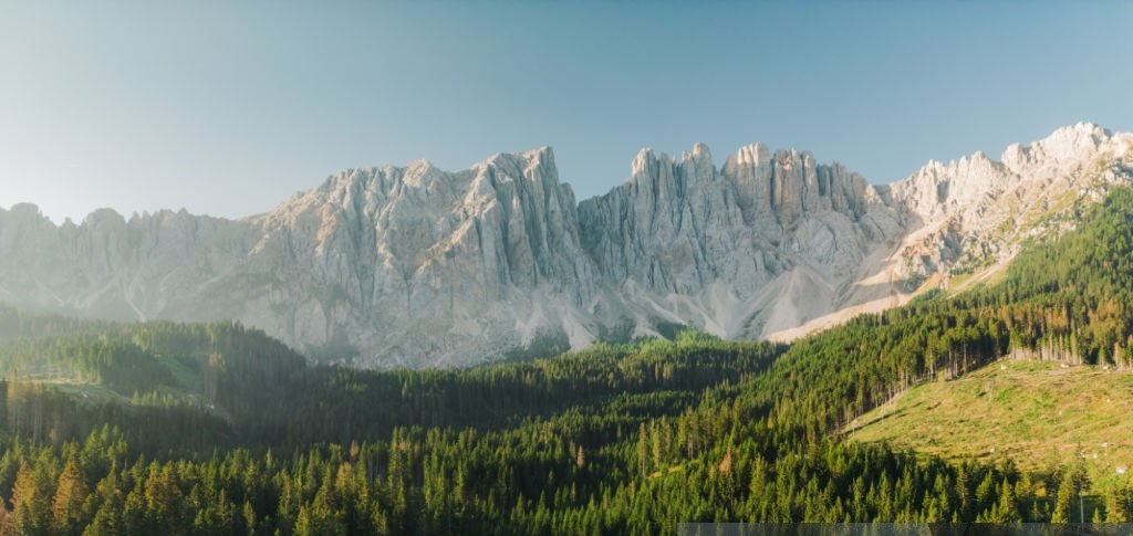 Paysage de montagne et forêt